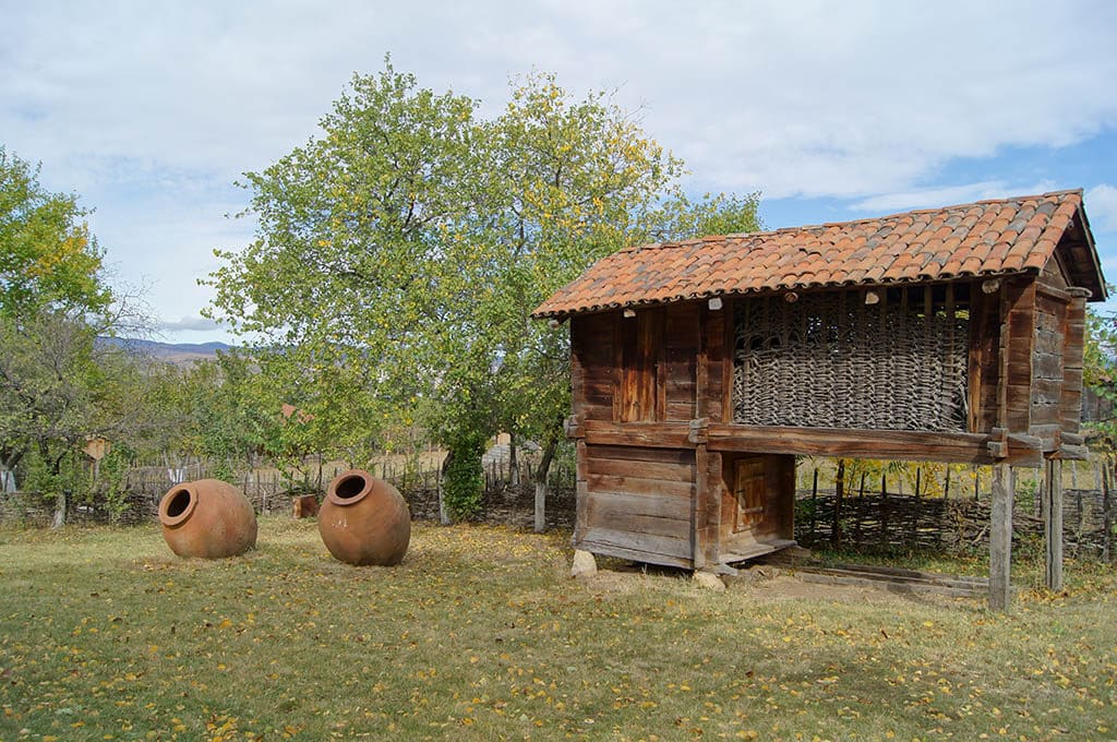 Дом на сваях. Этнографический музей в Тбилиси