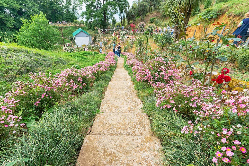 Тропинка с цветами в Ботаническом саду Батуми