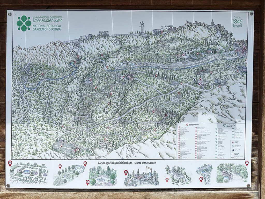 Карта ботанического сада Тбилиси