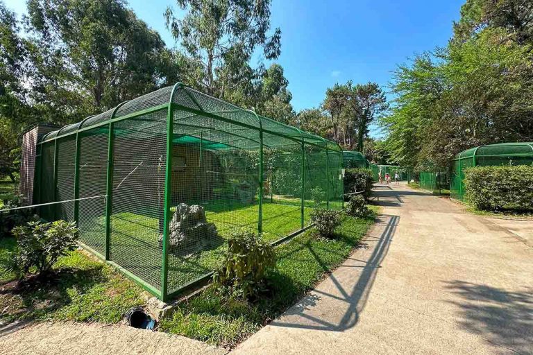 Bird cages in the Dendrological Park near Batumi