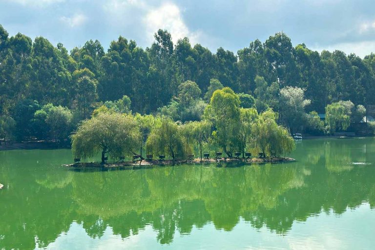 Lake in the Dendrological Park
