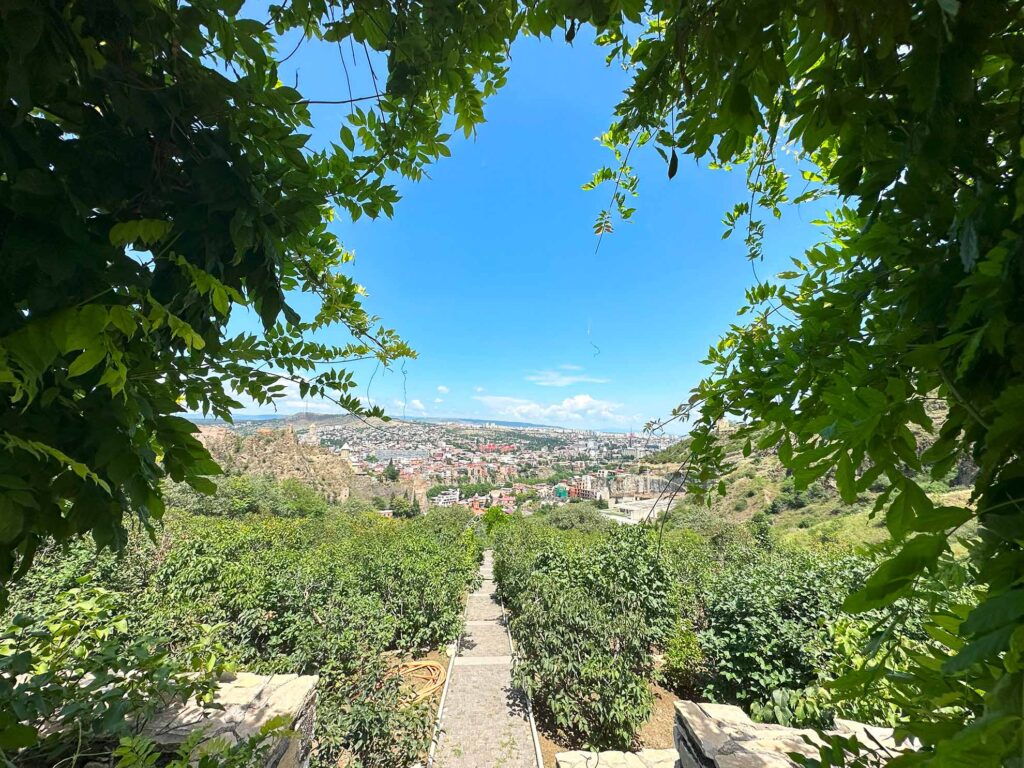 Вид на Тбилиси из Ботанического сада