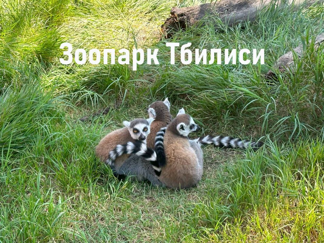 Zoopark Tbilisi