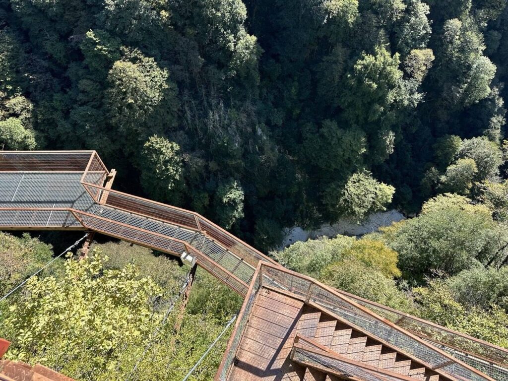 View of the Okatse River from the viewing platform